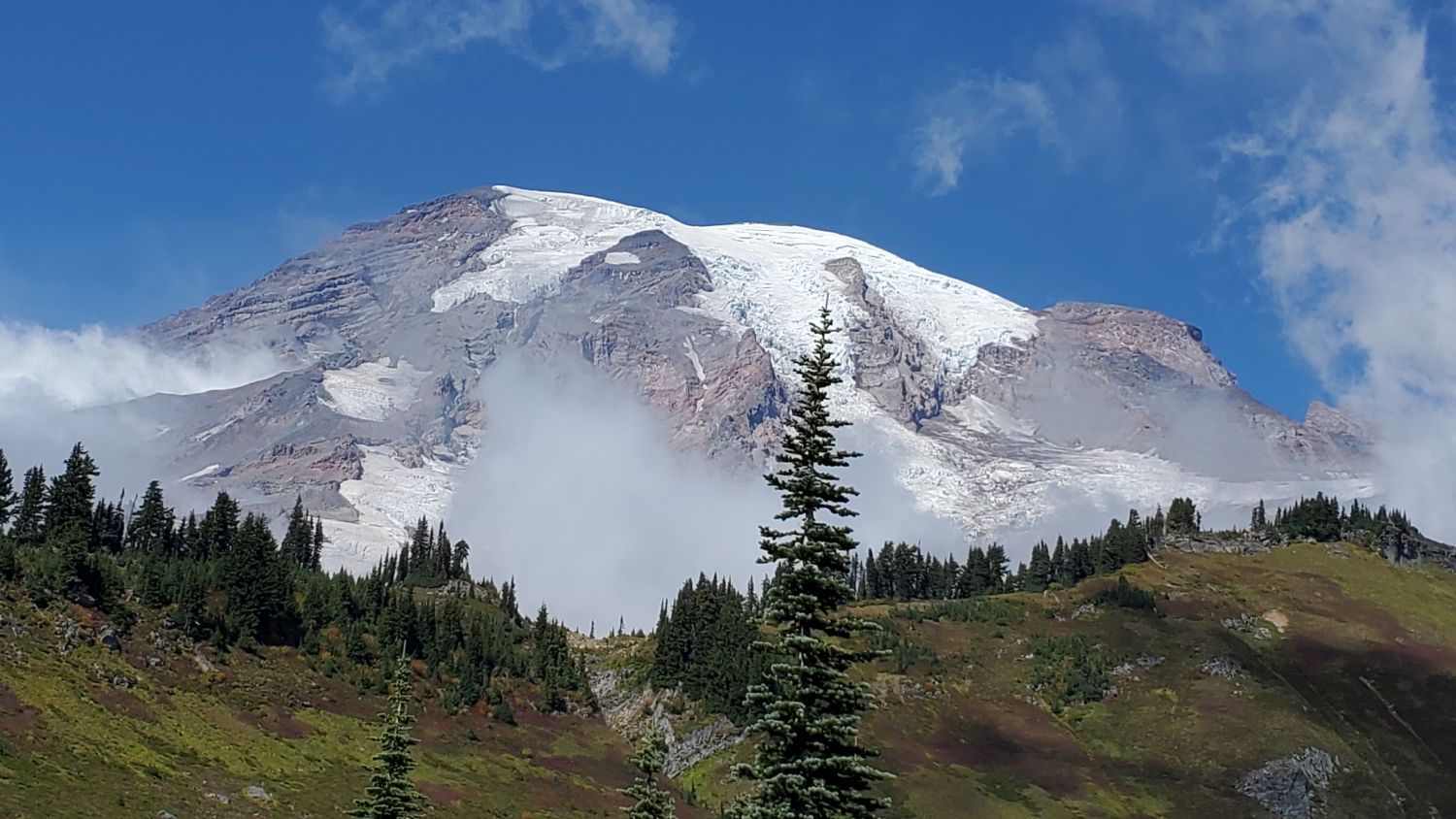 Washington - Seattle, Olympic and Mount Rainier NPs